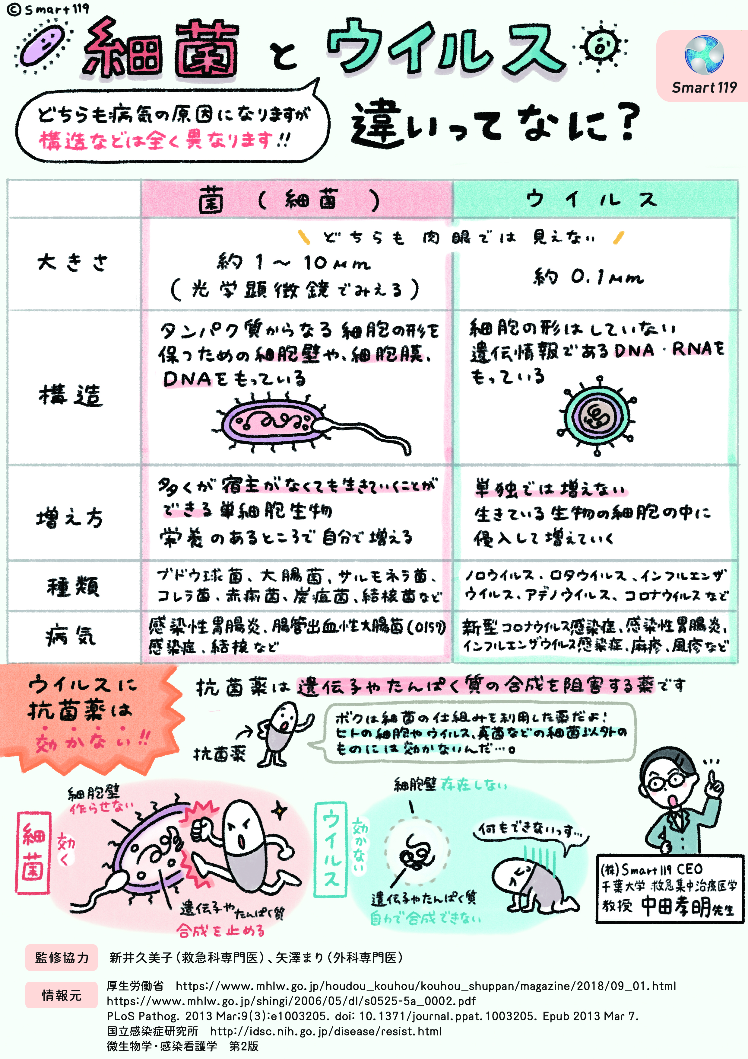 ウイルスと細菌の決定的な違いとは？風邪に抗生物質が効かない理由