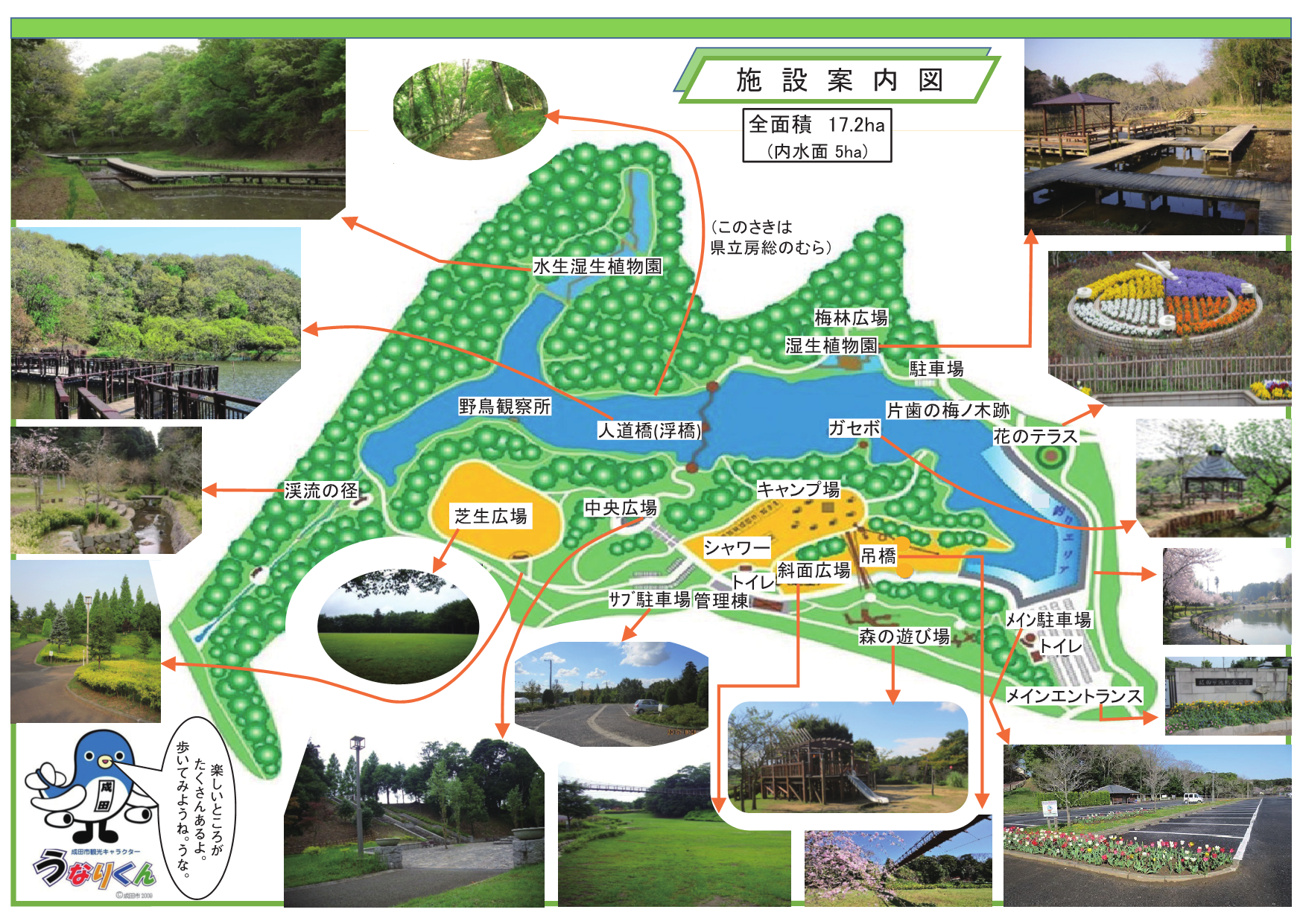坂田ヶ池総合公園の最新情報と詳細まとめ｜噂の真相からキャンプ場まで