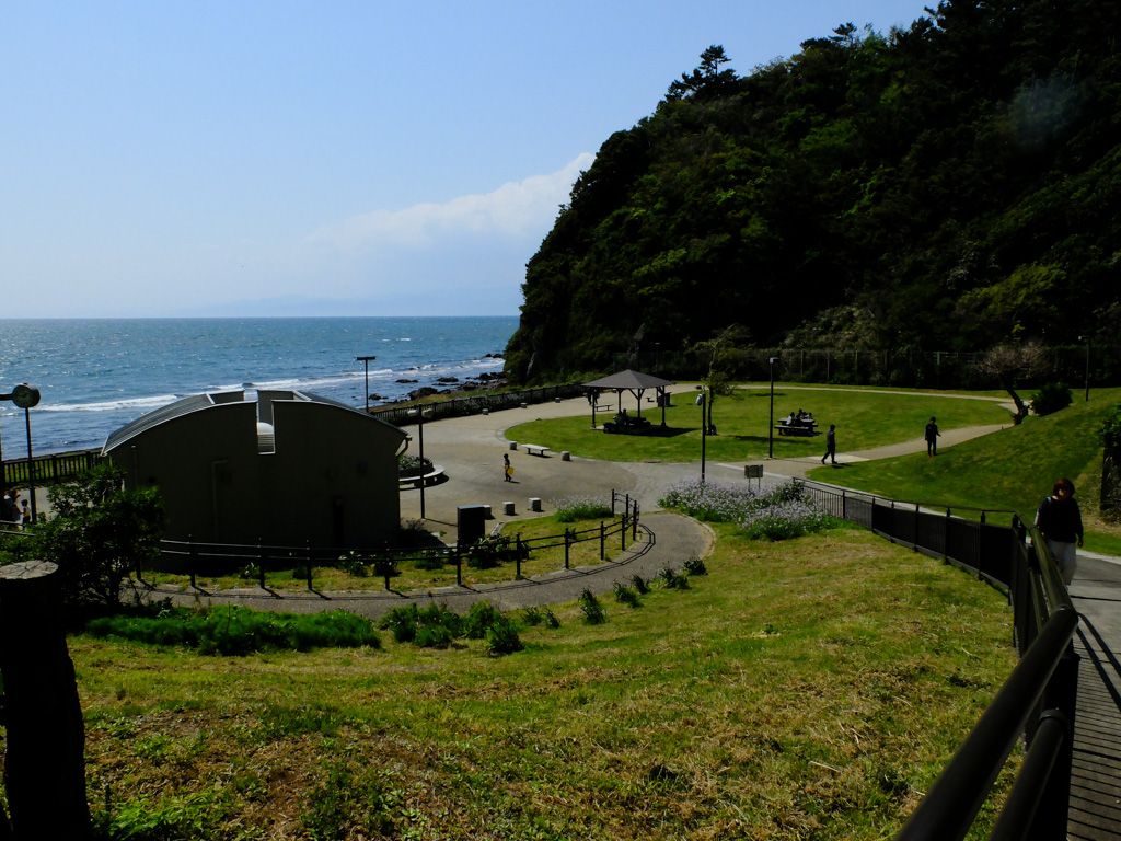 牛臥山公園の真価とは？富士山と駿河湾を望む絶景と利用ルールの全貌
