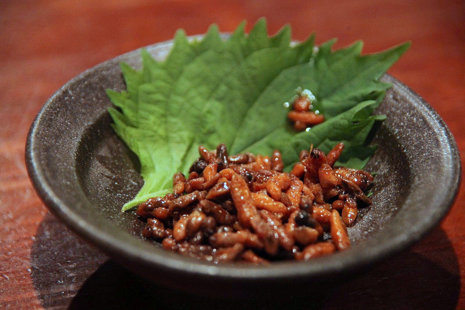 蜂の子の味は本当に美味しいのか？まずい噂の真相と絶品レシピを徹底解剖