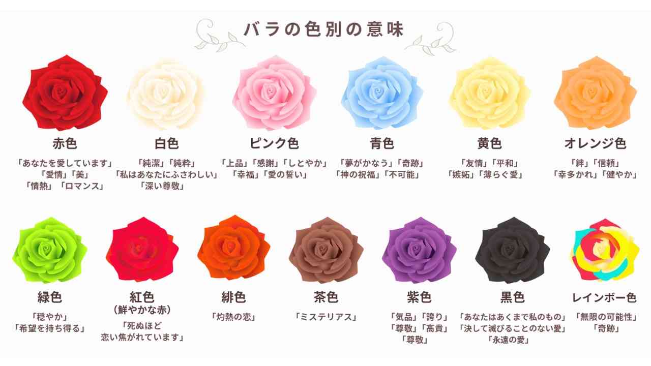 薔薇の花言葉と本数別マナー徹底解説！失敗しないギフトの選び方