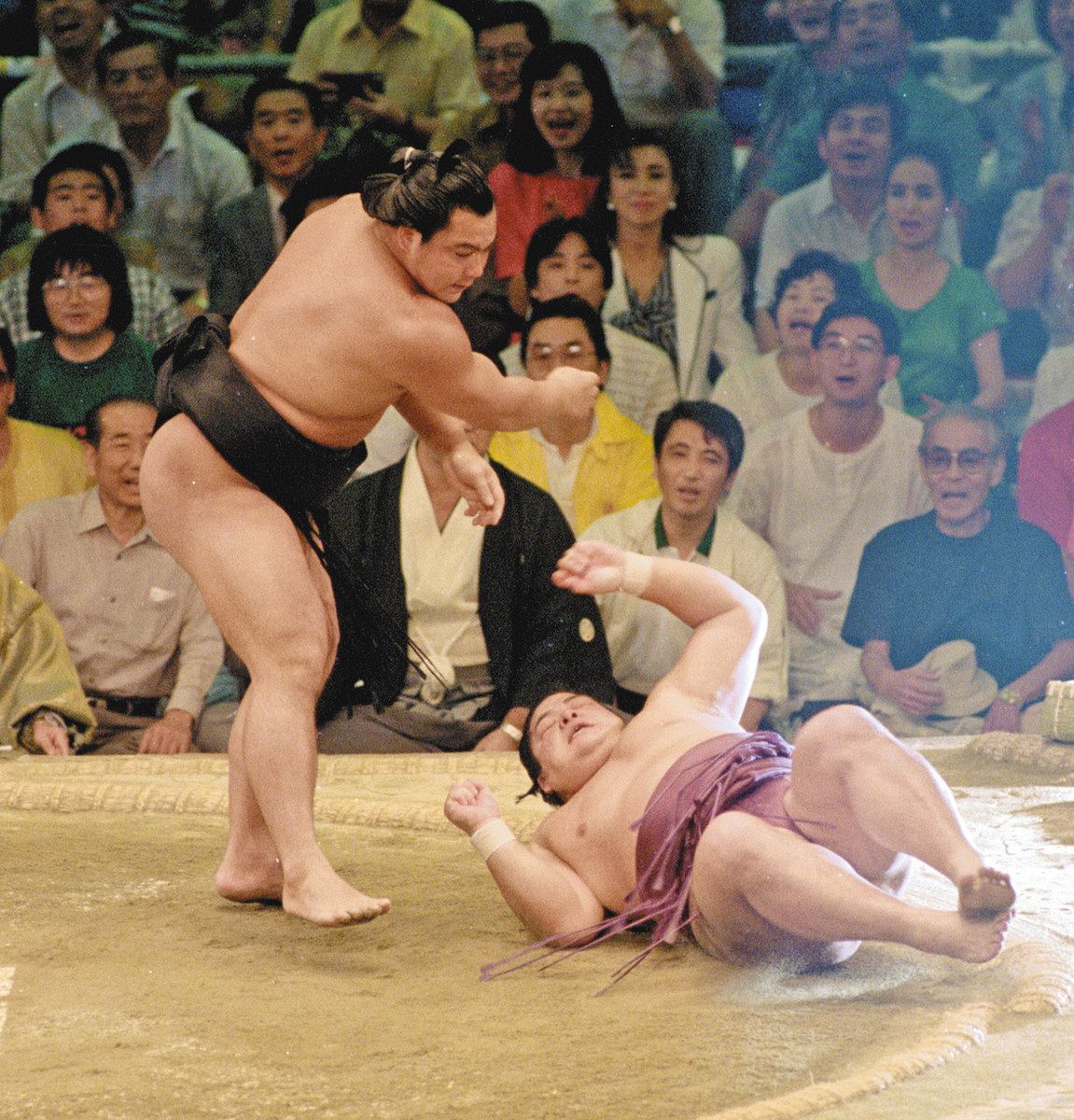 千代の富士と北勝海、知られざる絆と激闘！九重部屋の秘話に迫る