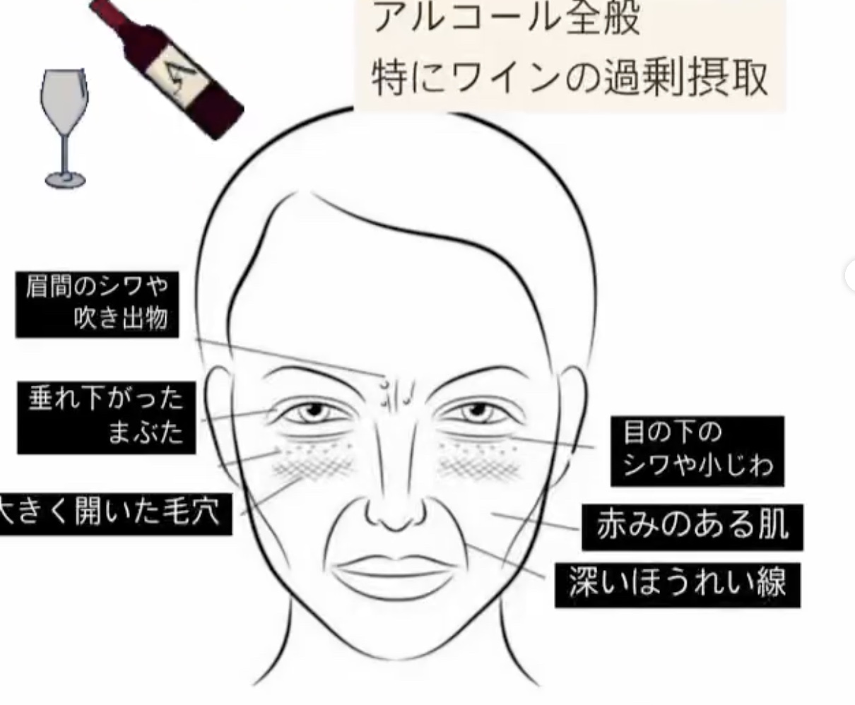 飲酒が招く老け顔の真実｜2026年最新研究が解き明かす肌老化の決定的メカニズム