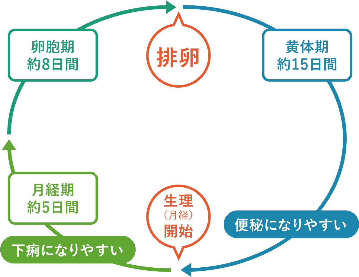 生理前の下痢はなぜ起きる？ホルモンの正体とPms・妊娠初期の見分け方