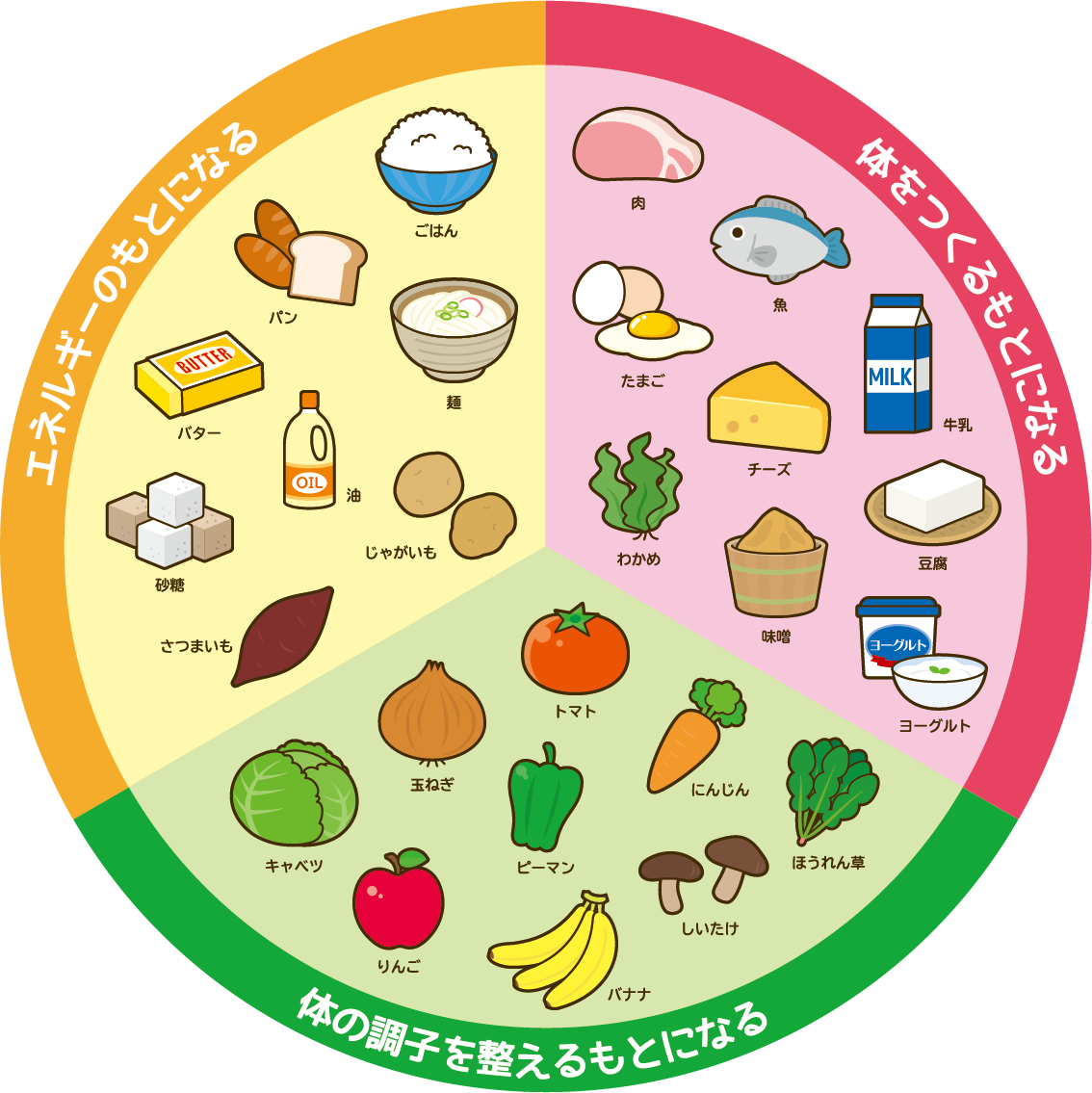 三色食品群で栄養激変！赤黄緑の覚え方とプロ直伝の献立活用術