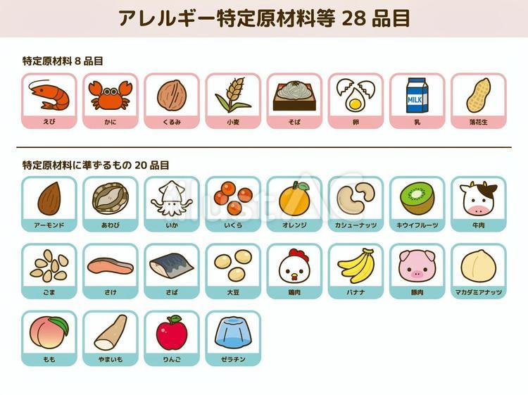アレルギー型の覚え方を徹底解説！国試に勝つ語呂合わせと分類まとめ