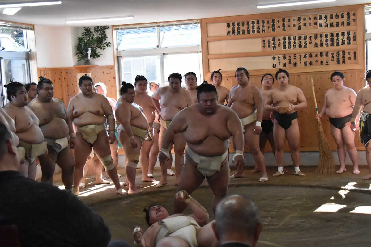二所ノ関一門の勢力図と所属部屋一覧！歴史の変遷から理事選の真相解剖