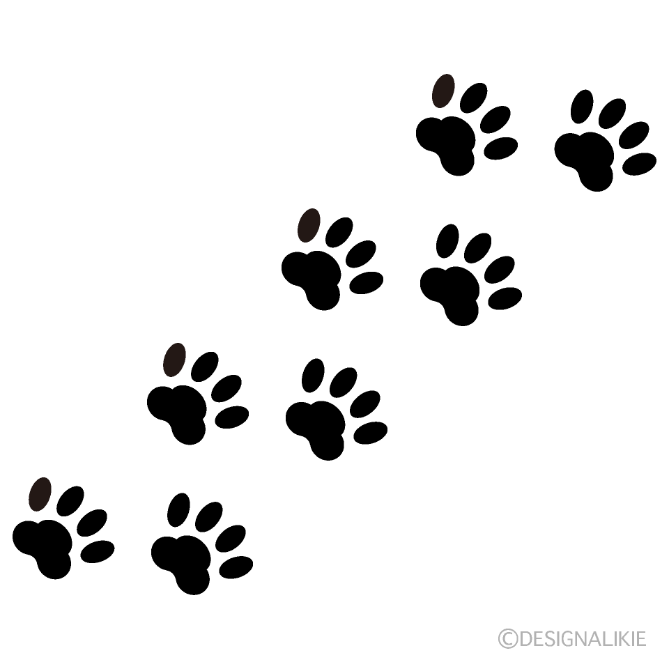 庭や車に残る犬の足跡の正体は？猫との決定的な見分け方を徹底解説