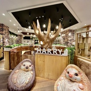 【徹底調査】 Hedgehog Cafe & Pet Store Harry Harajuku 最新熱愛噂まとめ #985