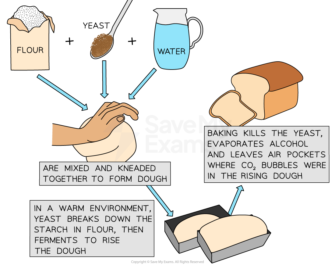 What Makes Bread Bread