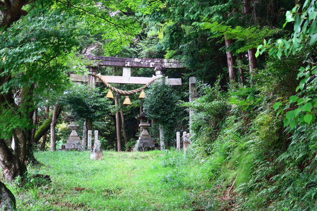 宮道天神社の知られざる歴史とご利益！2026年最新御朱印と噂の真相
