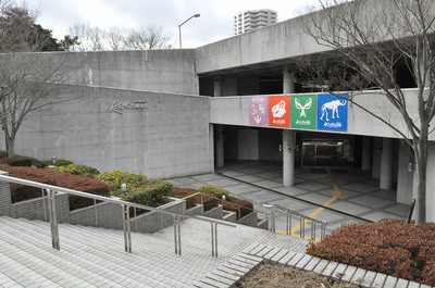 【経歴】 兵庫 県立 人 と 自然 の 博物館 経歴＆学歴まとめ 2026 #957