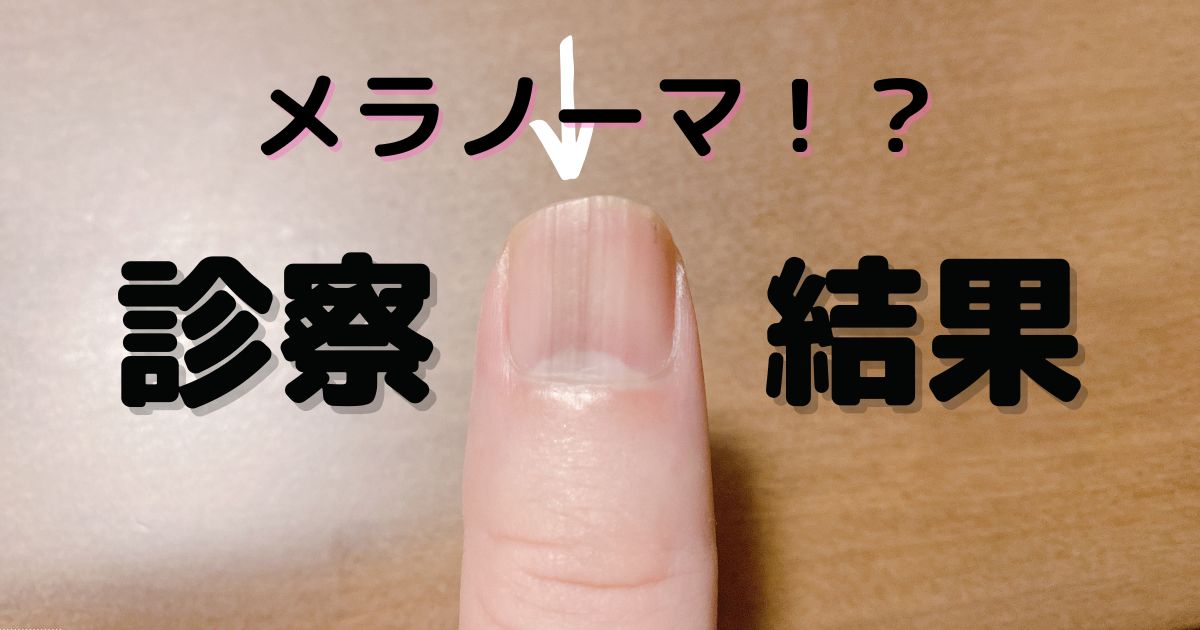 【2026年最新調査】なぜあの人が…SnsとAi時代に急増する「洗脳 され やすい 人」の心理的特徴と防衛策