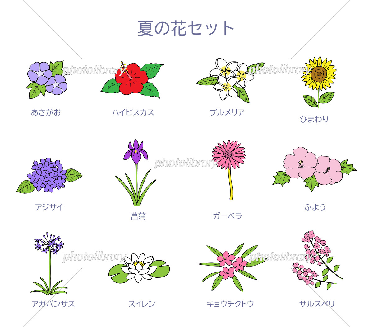 夏の花イラストを誰でも簡単に！ひまわり・朝顔・ハイビスカス描き方