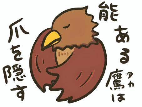 【画像あり】 能 ある 鷹 は 爪 を 隠す 私服＆私生活最新ショット #940
