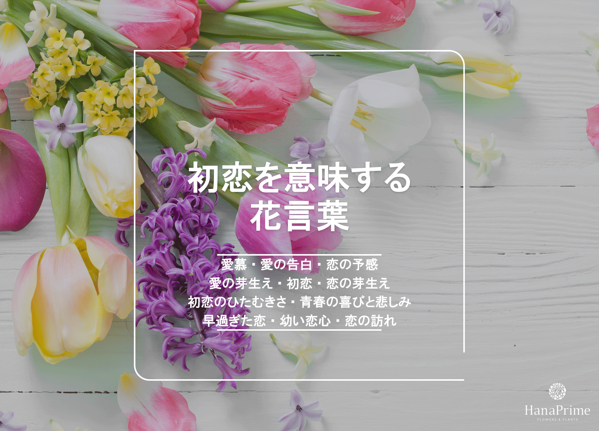 「初恋」の花言葉を持つ花一覧！ライラックや色別の意味・贈り方の極意