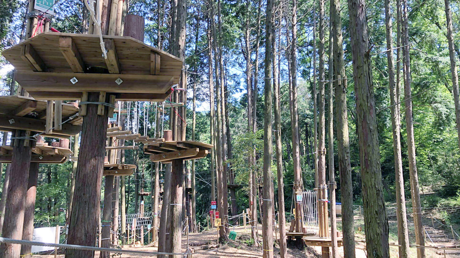 【特報】山崎賢人が挑む超大作『冒険の森』独占リークと配信の全貌