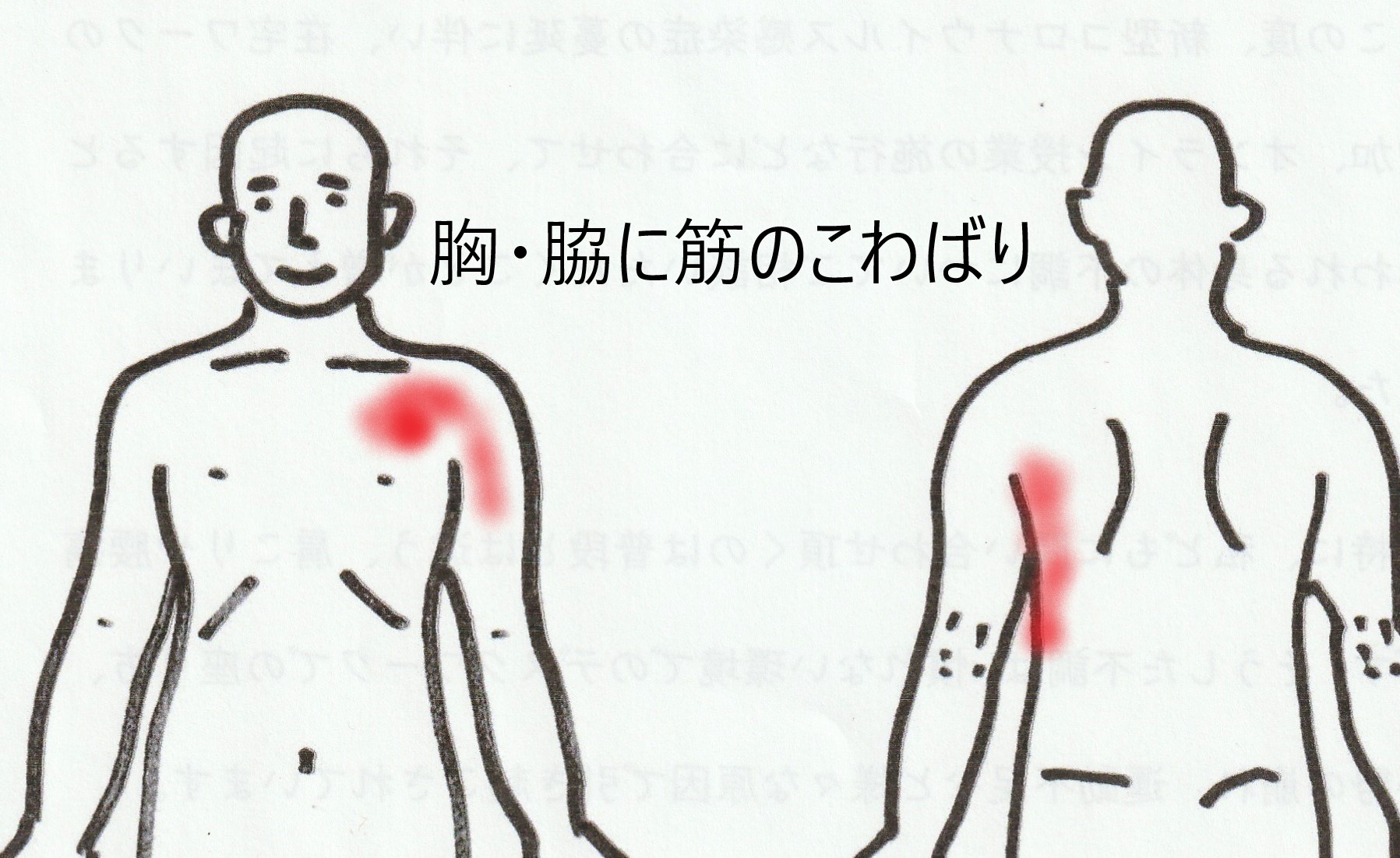 左肩甲骨の内側が痛い原因は？心臓・内臓の危険サインと見分け方を解説