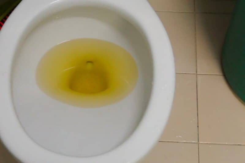 Why Is My Toilet Water Yellow All of a Sudden