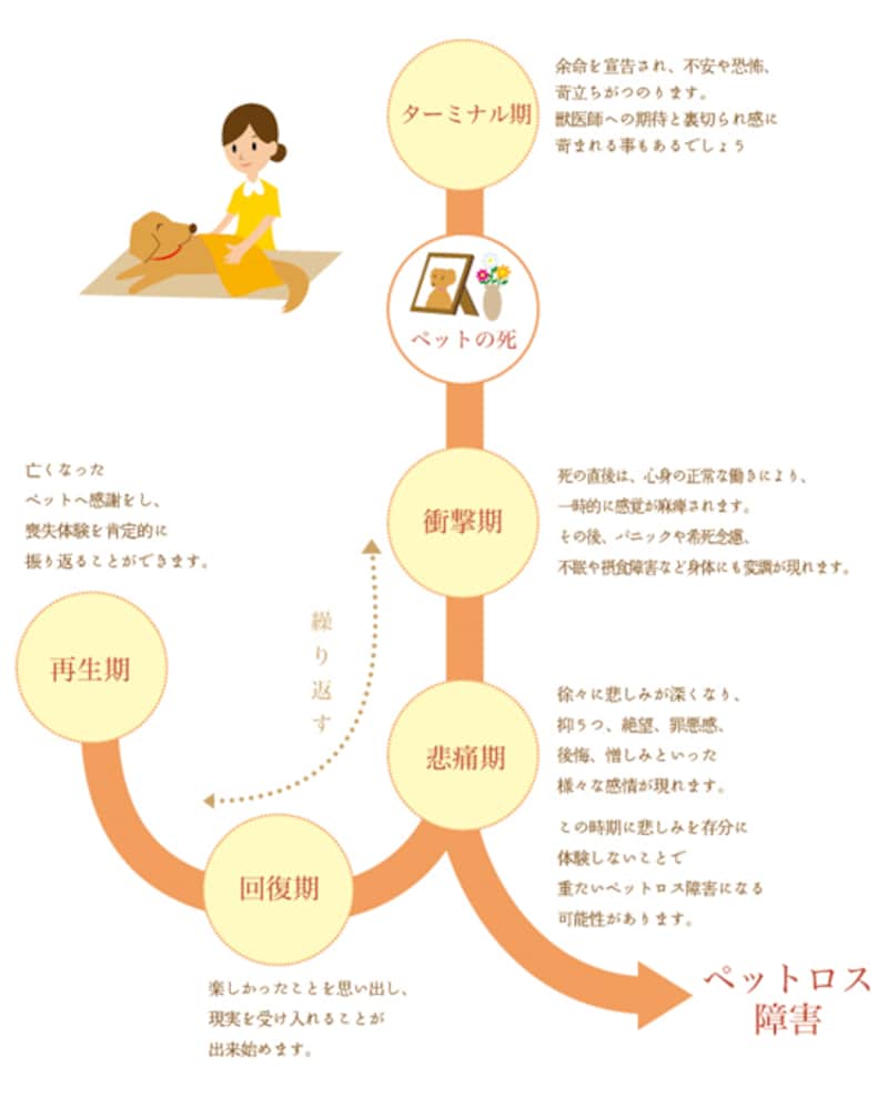 ペットロスを乗り越える方法とは？長引く悲嘆の真相と回復のステップ