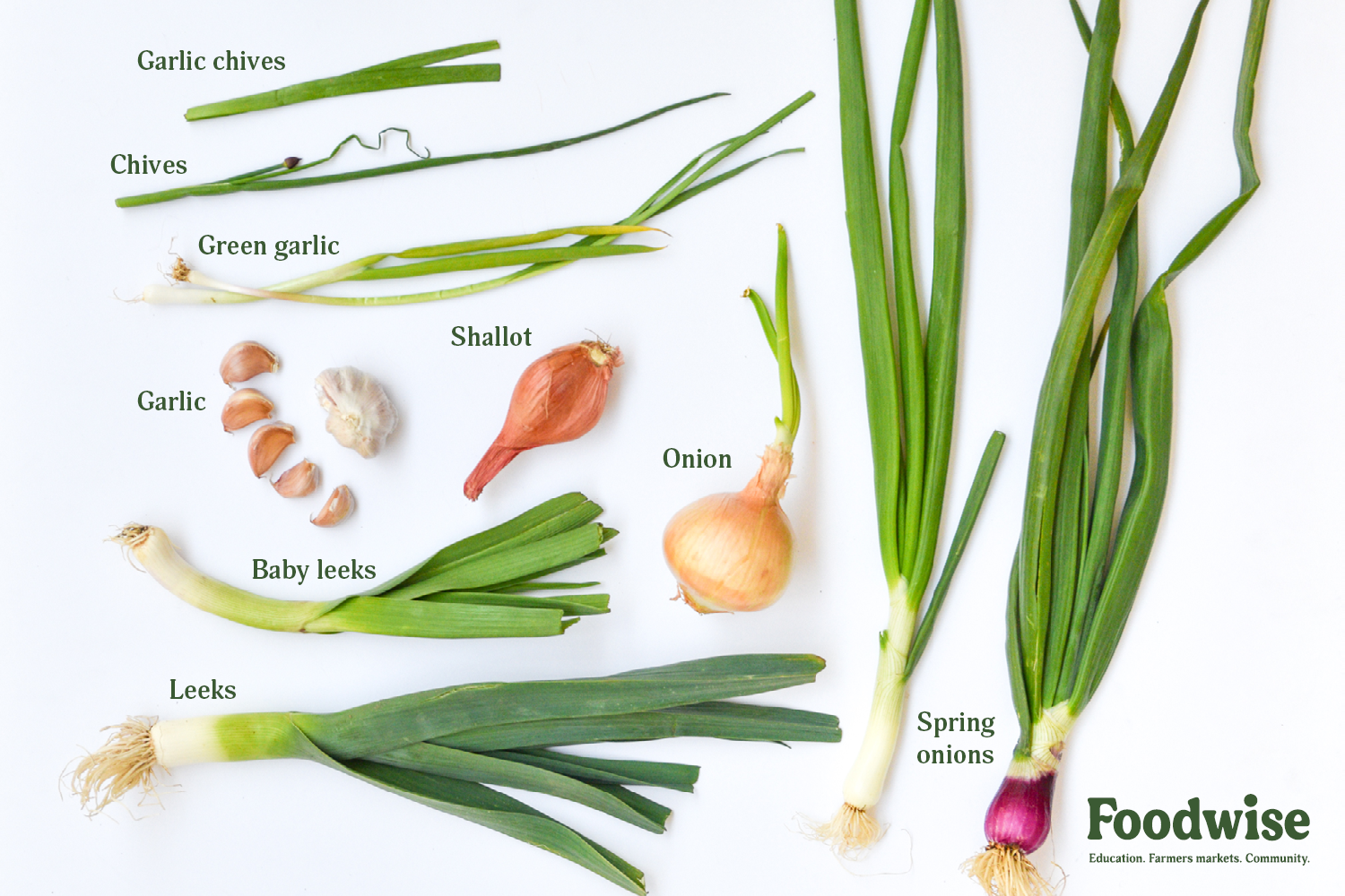What Type of Vegetable Is Garlic