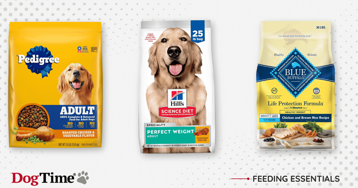 What Is the Best Dry Dog Food