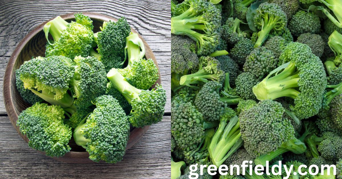 Why Is There a Broccoli Shortage