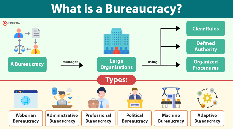Why Is Bureaucracy Important