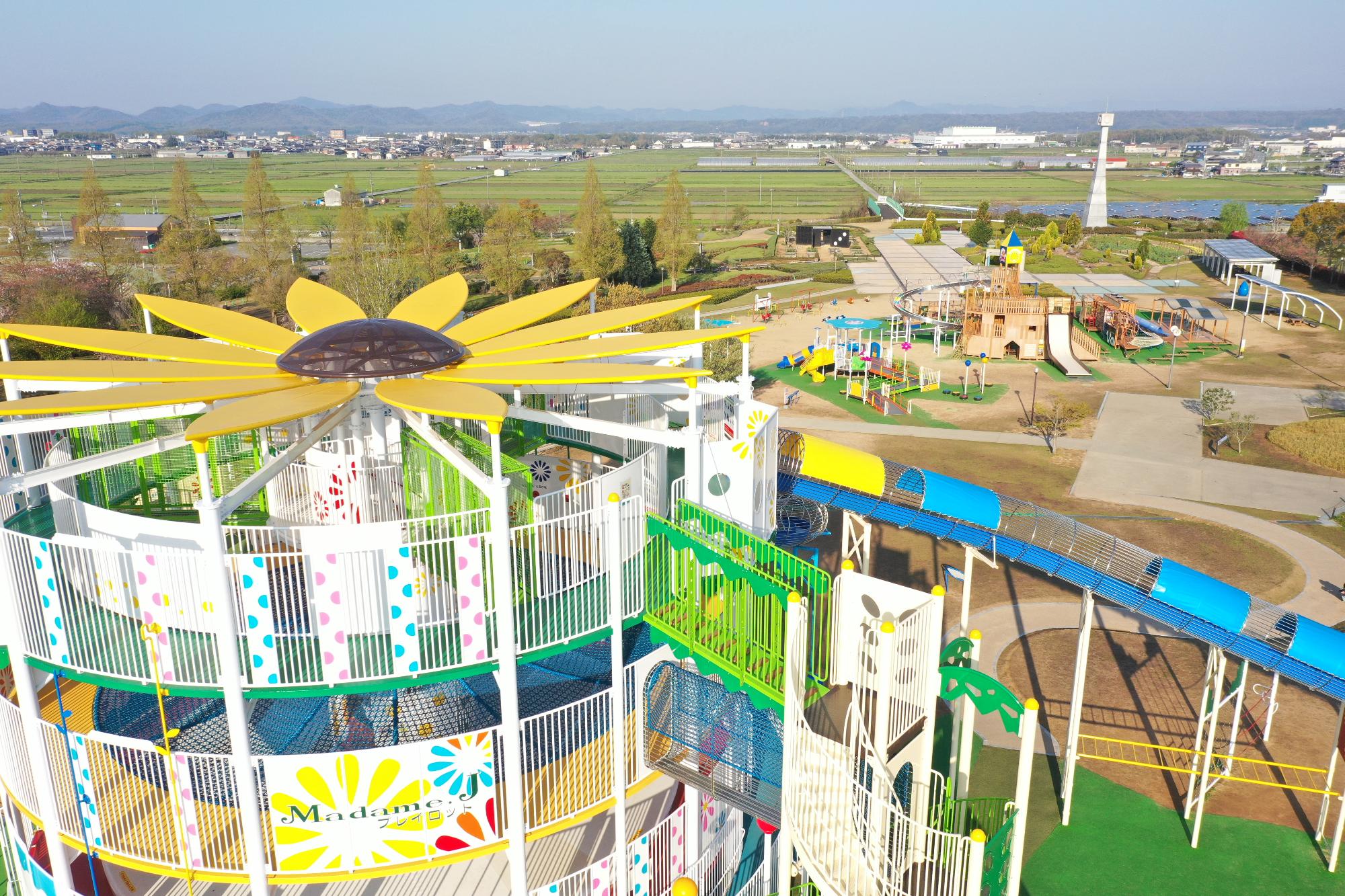 兵庫県小野市ひまわりの丘公園2026最新開花情報！混雑回避と駐車場