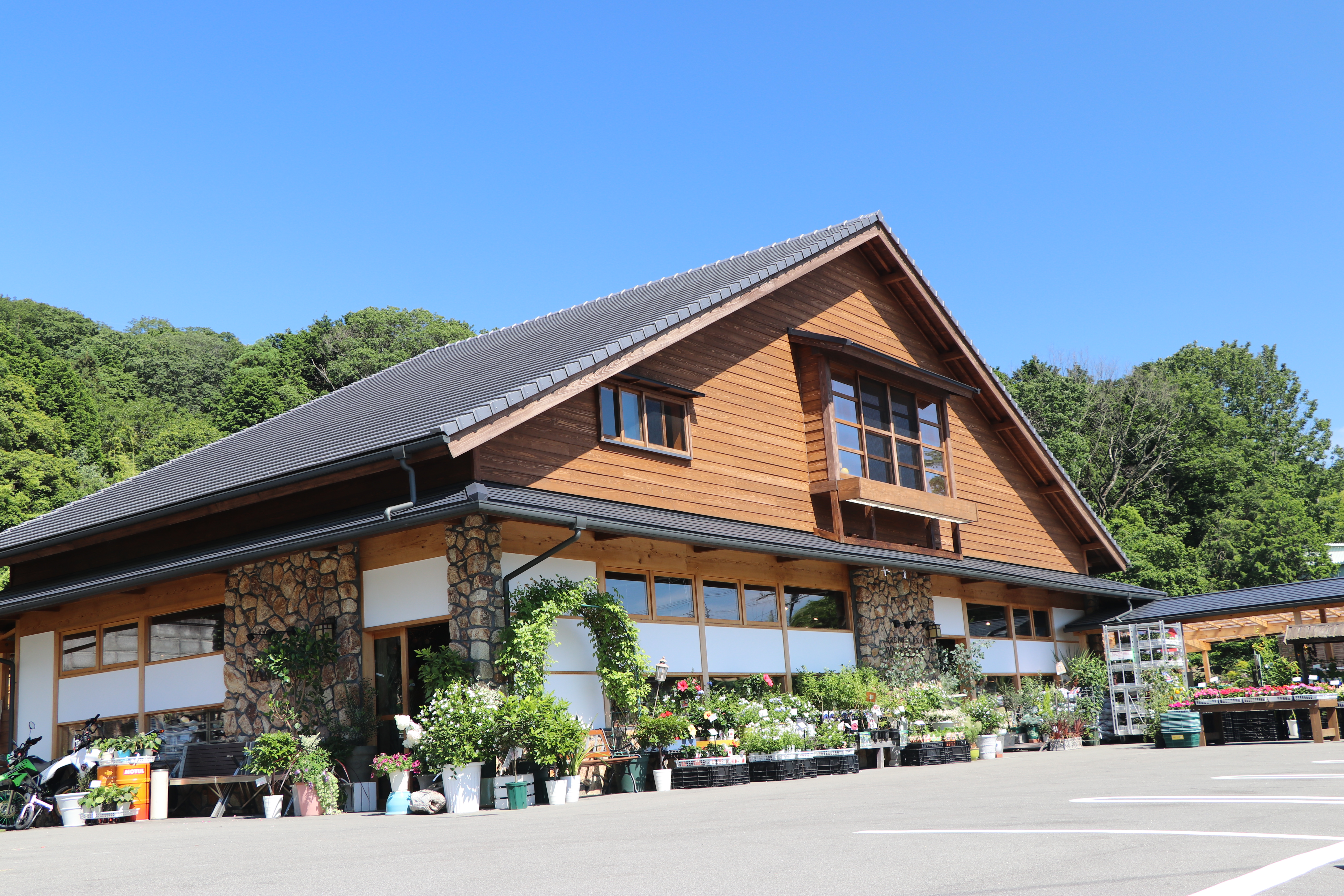 植物ファン熱狂！グリーンプラザ山長の評判と品揃えの真相解明