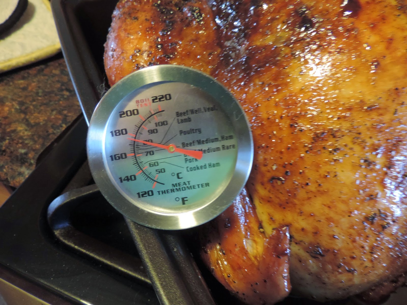 Turkey Roast Temperature Internal