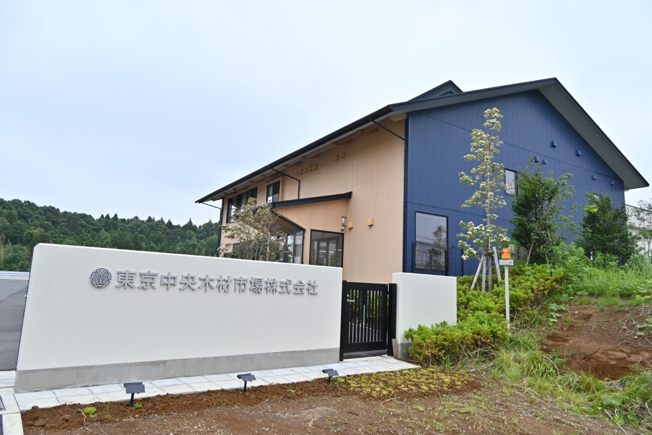 東京中央木材市場は一般購入できる？競り参加の真相と買い方完全ガイド