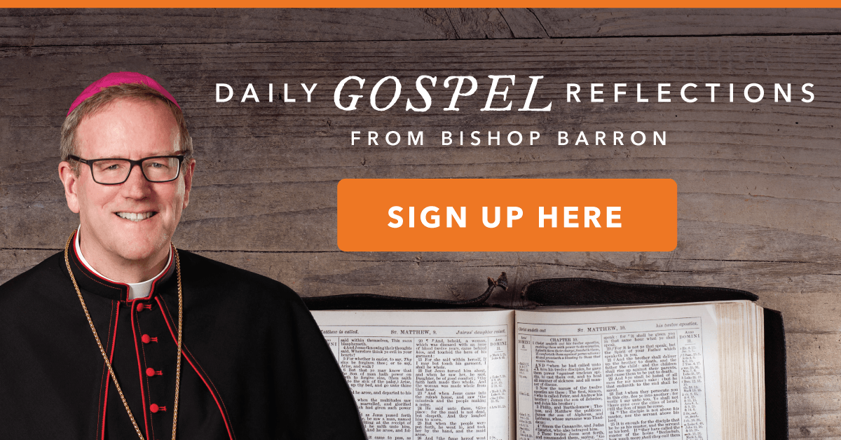 Bishop Robert Barron Daily Gospel Reflection