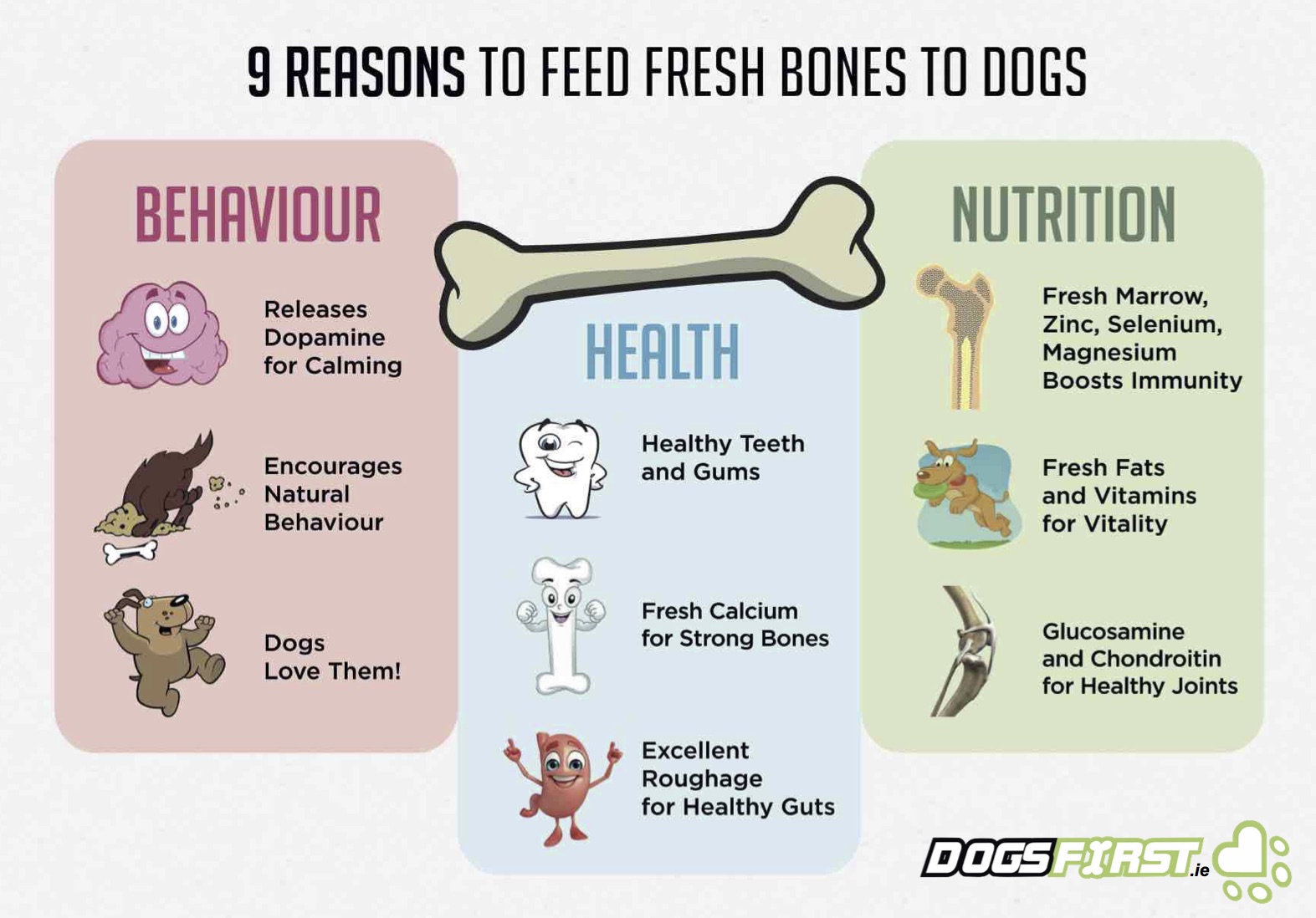 What Bones Are Safe for Dogs
