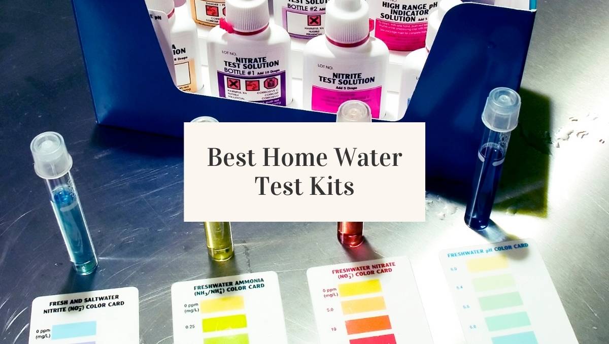 Best at Home Water Test Kit