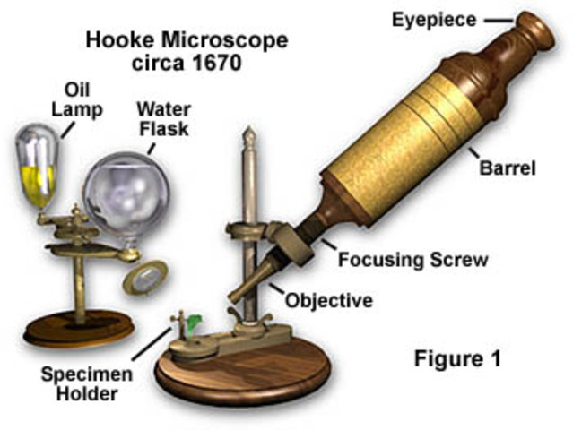 When Was the First Compound Light Microscope Invented