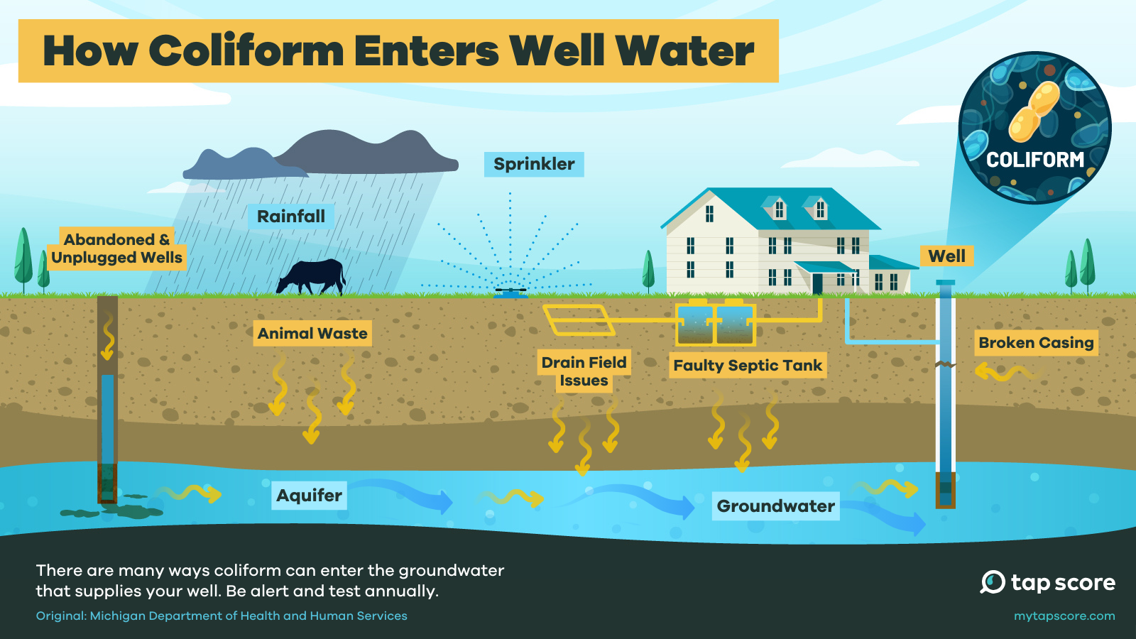 Is It Common to Have Coliform in Well Water
