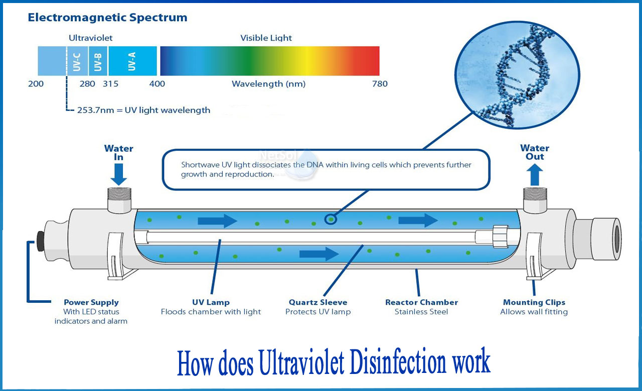 Ultraviolet Light Water Disinfection System