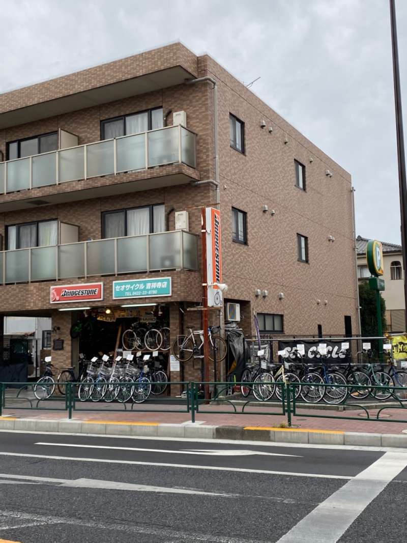 中学生の読書感想文おすすめ本2026！1日で書ける名作と高評価術