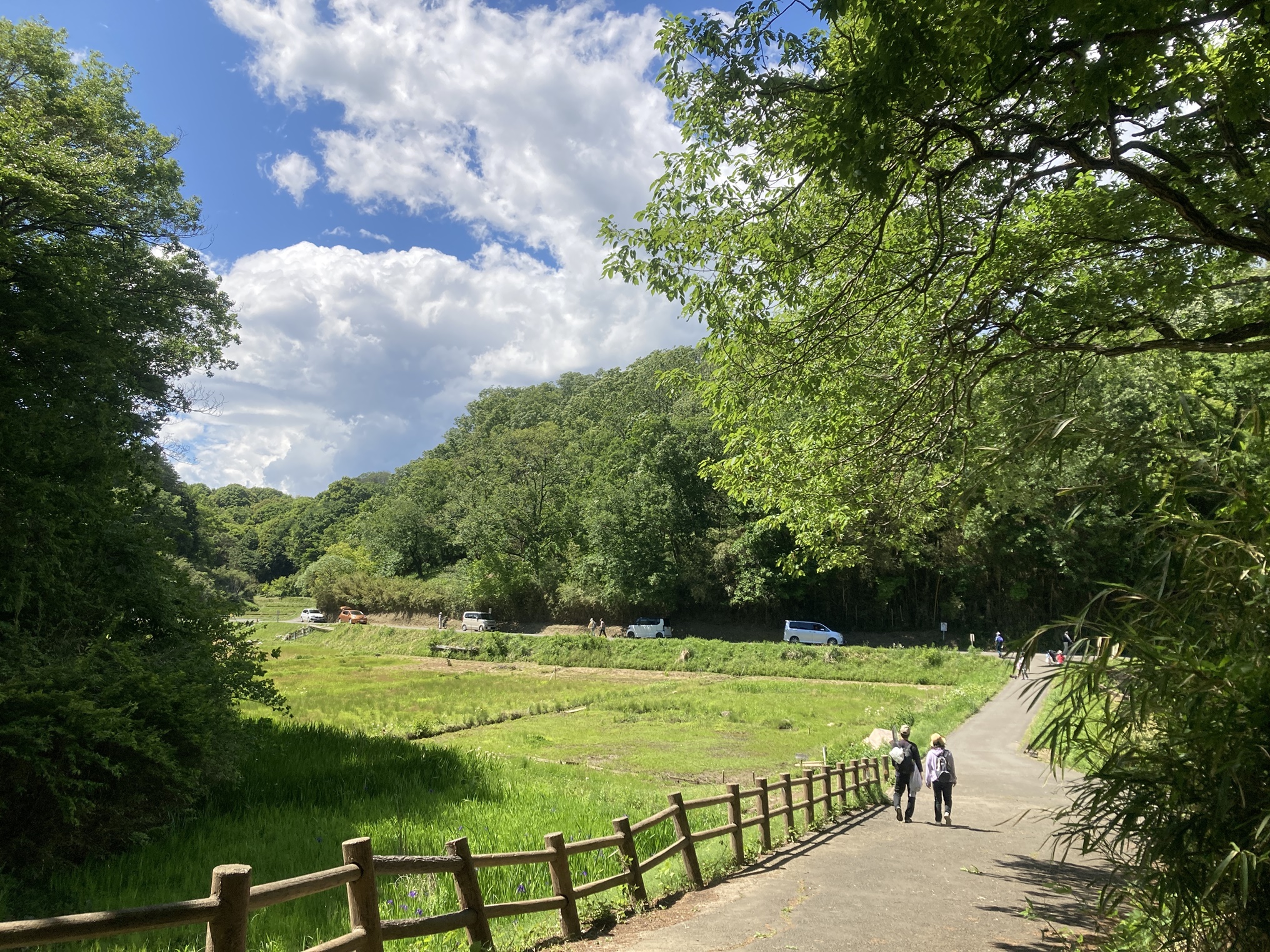 都心から60分、2026年に空前の再ブレイク。横浜「寺家ふるさと村」で都市生活者が知る、本当の豊かさ