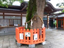 【画像あり】 宇佐 神宮 怖い 最新ライブ＆イベント情報 #714