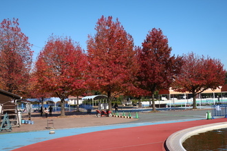 【話題】 加須 は な さき 公園 最新ファイル＆画像まとめ #850