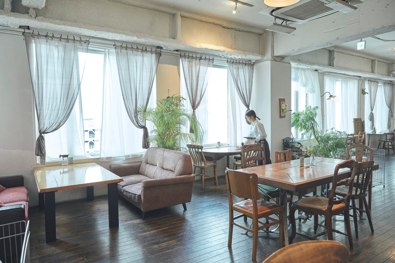 北摂焙煎所本店Cafe Matin徹底解剖！人気メニューと混雑回避術