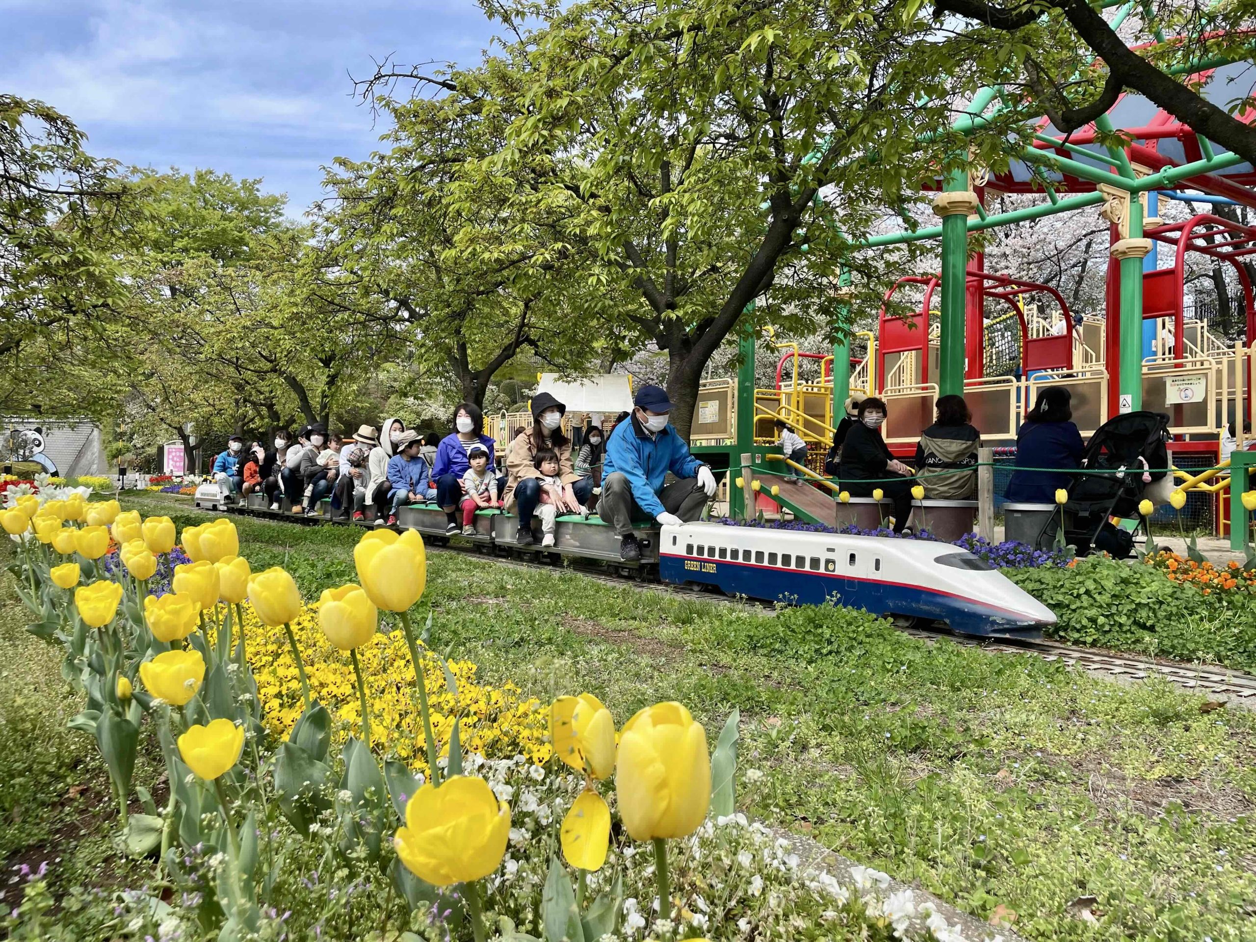 川口市立グリーンセンター徹底攻略｜リニューアル後の魅力と混雑回避術