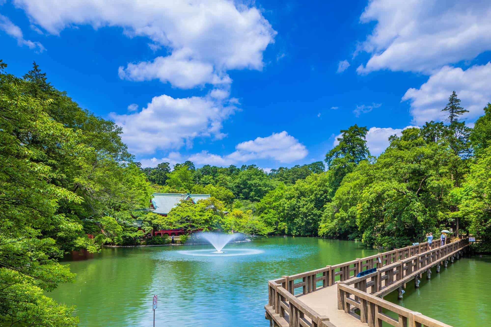 井の頭恩賜公園の真実2026｜ボートの噂と穴場ルートを徹底解剖