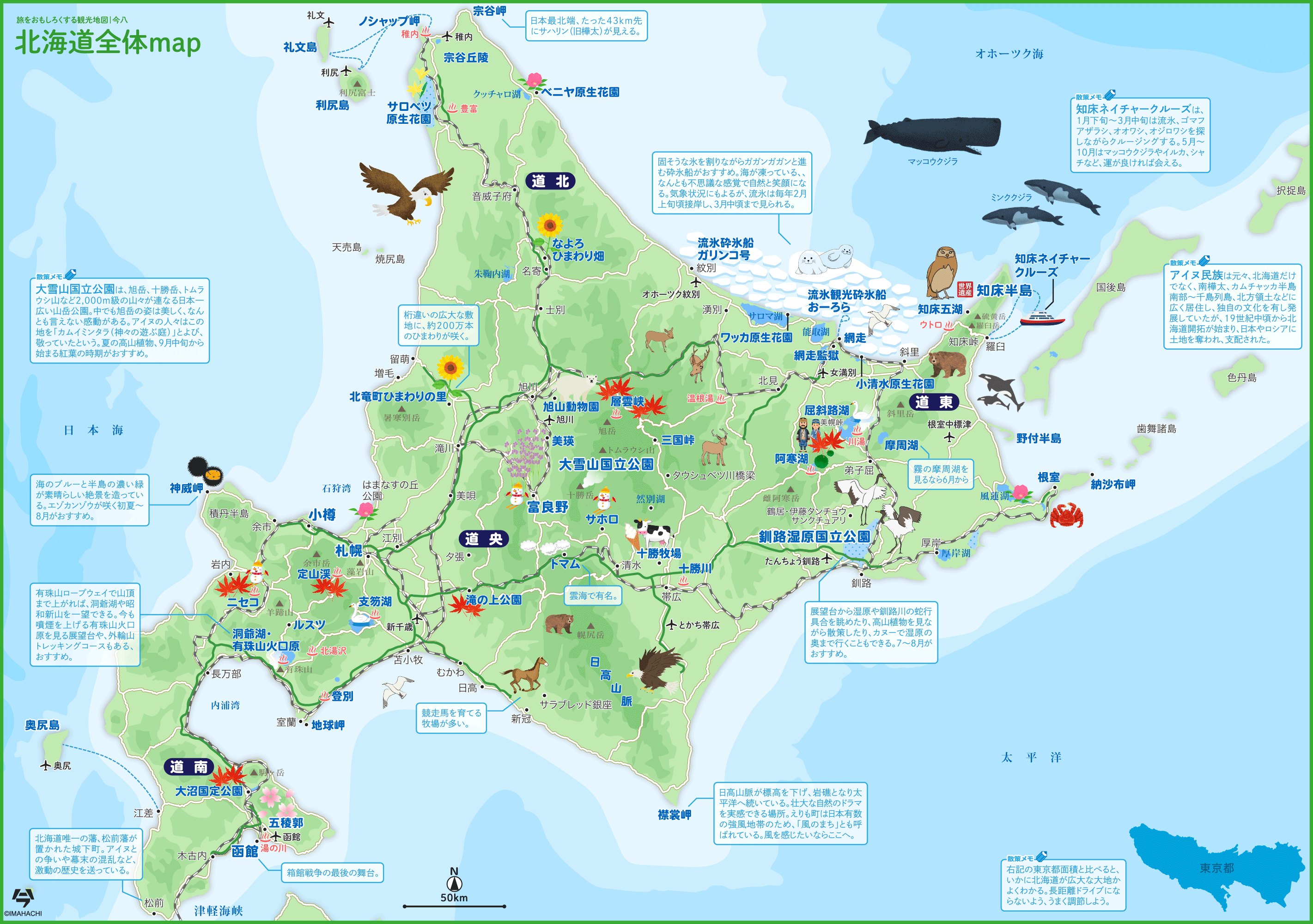 北海道教育大学函館校のリアルな評判は？偏差値と就職先の真相を徹底解説