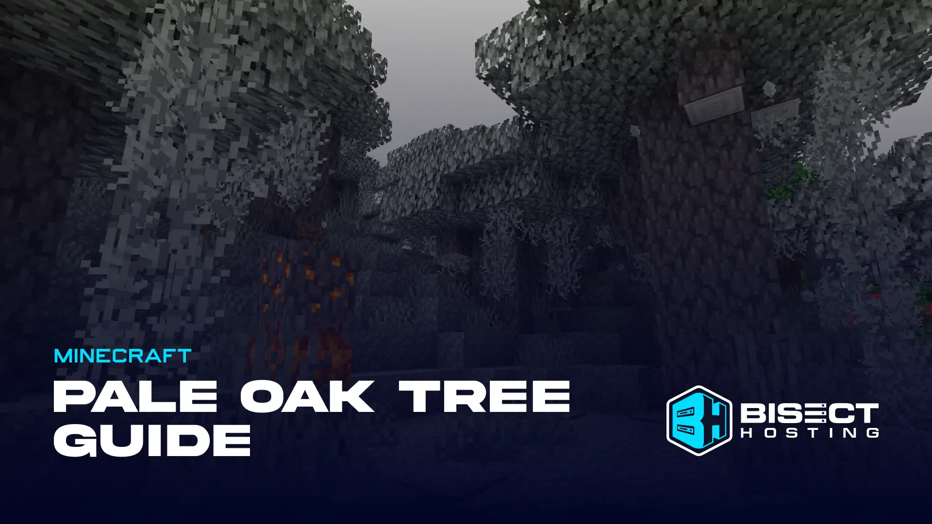 How to Find Pale Oak Biome