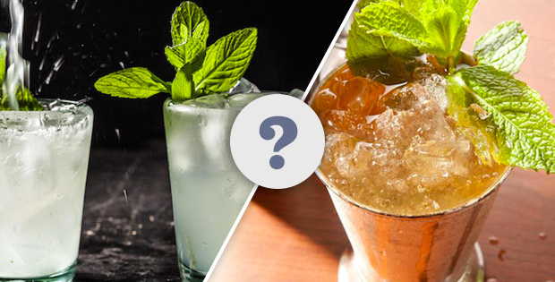 Mint Julep vs Mojito