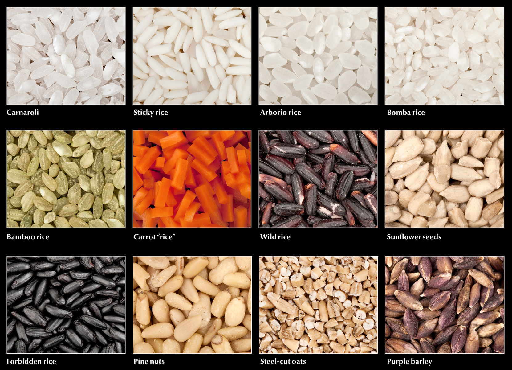 What Type of Rice Is Used to Make Risotto