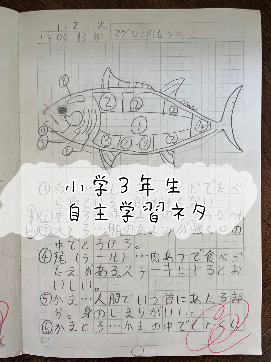 小3自主学習ネタ決定版！10分で書ける工夫と先生が高評価する理由